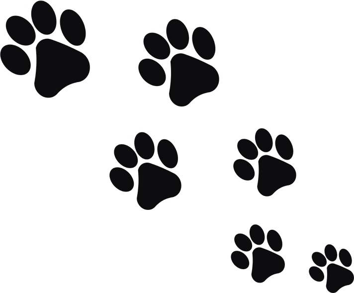 Dog Paw Prints Illustration 